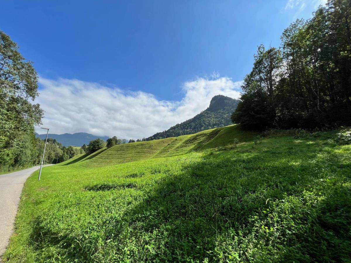 Apartment Eiler - Mellau Εξωτερικό φωτογραφία